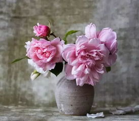 關(guān)于我竟然是小丑的詩句,關(guān)于我愛祖國的詩句,關(guān)于我輩的詩句