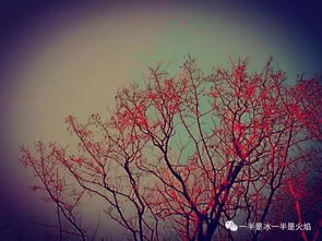 關(guān)于流與晚風(fēng)的詩(shī)句