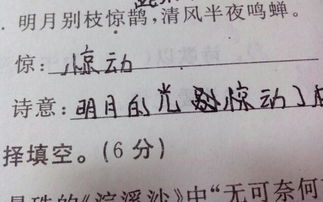 特別詩意的古詩句