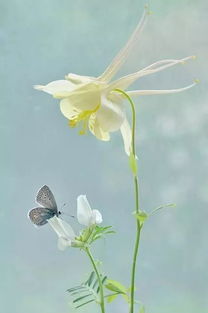 春天,詩(shī)句,有不有