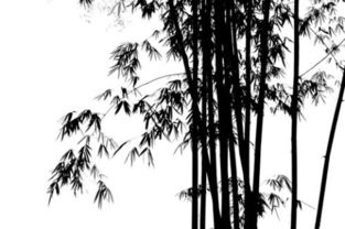 有關(guān)于商人的詩句