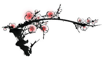 關(guān)于梅花詩句兒的