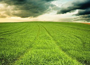 關(guān)于緯度物候的詩句