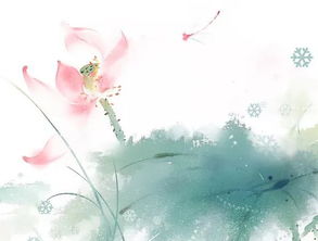 關(guān)于或?qū)懟ǖ脑?shī)句