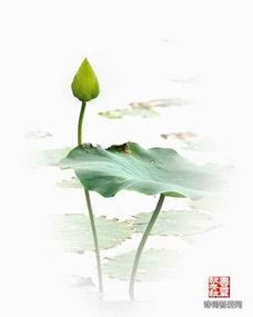 關(guān)于平等的詩(shī)句古詩(shī)詞