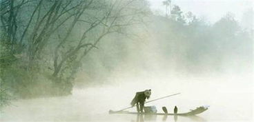 詩(shī)句,窗下,讀書