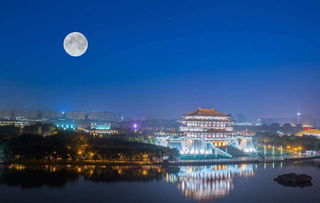 手足情深的古詩句