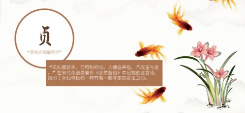 水仙的古詩(shī)句