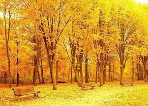 形容秋天落葉的古詩句