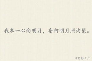 關(guān)于不要你了的詩句