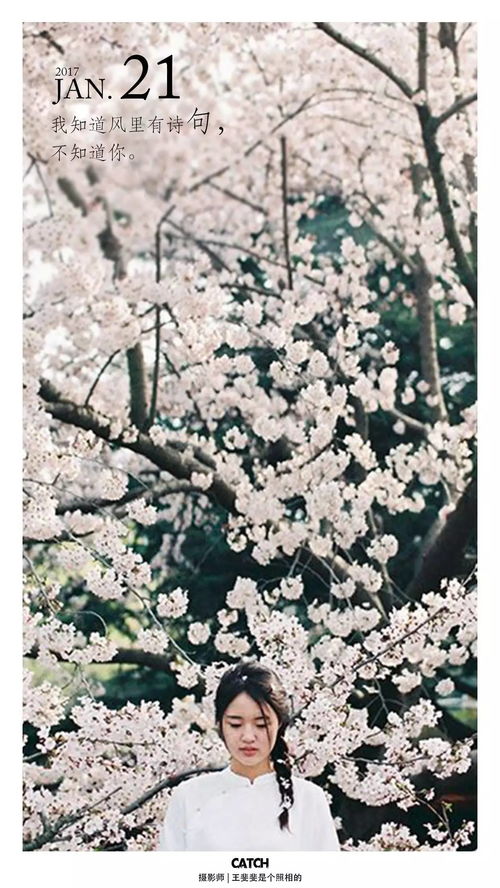 關(guān)于日與風(fēng)的詩句是什么