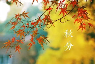 關(guān)于秋分豐收的詩句古詩