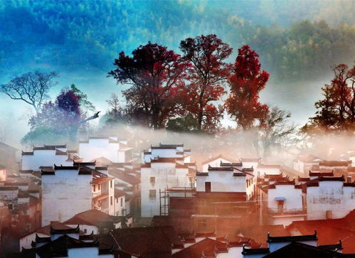 思鄉(xiāng)之句的詩句,描寫思鄉(xiāng)的詩句,思鄉(xiāng)之情的詩句