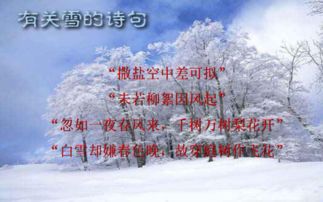 關(guān)于雪的詩句ppt