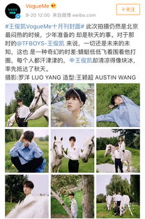 詩句,堅韌,精神