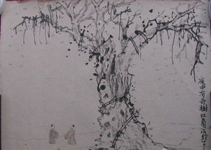 詩句,詩中,有哪些