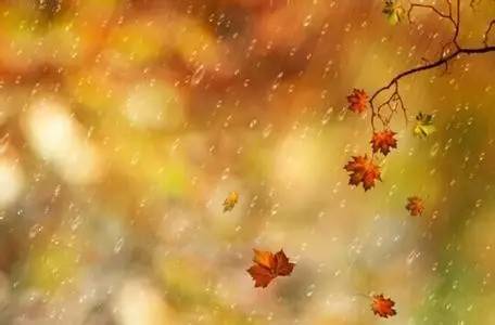 關(guān)于秋雨聲的詩(shī)句古詩(shī)