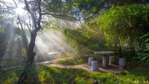 描寫(xiě)陰雨的詩(shī)句古詩(shī)