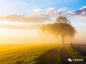 描寫人物品格的古詩句