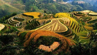 關(guān)于龍脊山的詩(shī)句