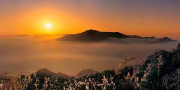 登山喜悅的古詩句