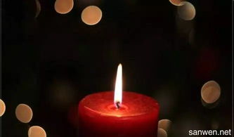 悼念父母的古詩句