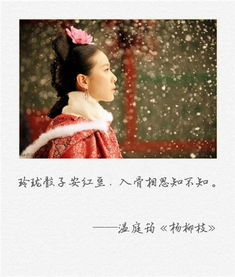 一句關(guān)于古人傳信的詩句