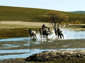 關(guān)于師德師風(fēng)的古詩句