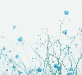 文藝表白古詩句