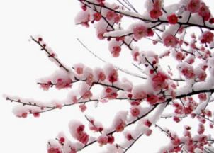 關(guān)于中秋的古詩句五言絕句,關(guān)于誠(chéng)信的古詩句五言絕句,廉潔古詩句五言絕句