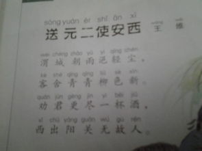 古詩中描寫鳥鳴的詩句