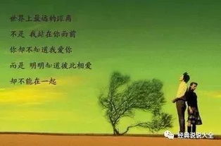 古詩,心煩,句子