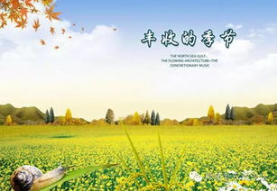 關于農業(yè)的詩句有