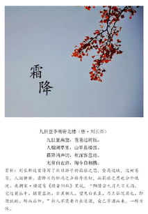霜降,古詩,詩句,寒冷