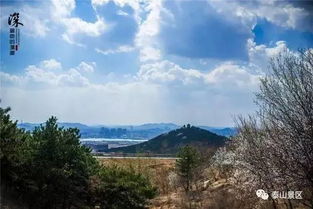 描寫泰山的古詩句,關(guān)于贊美泰山的古詩句,描寫泰山的古詩句有哪些