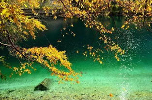 古詩,詩句,紅葉,開頭