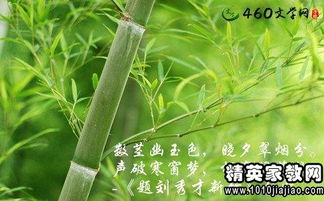 關(guān)于竹子品質(zhì)詩句