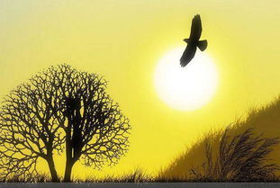 寫歲月靜好的古詩句