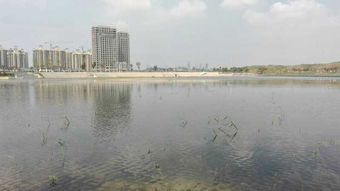 關(guān)于重慶秀山的詩句