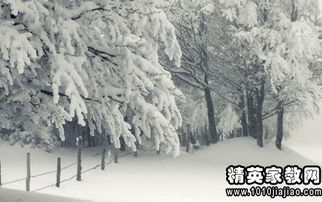 描繪冬景物的古詩句