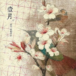 古詩(shī)月開(kāi)頭的詩(shī)句