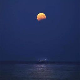 關(guān)于愛良夜的詩句