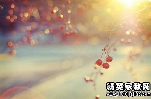 優(yōu)美的詩句關(guān)于青春