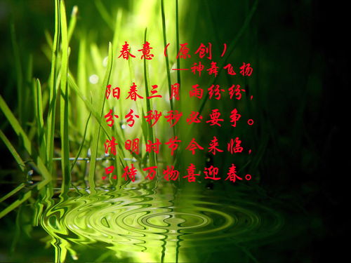 關(guān)于寫春天花的詩(shī)句古詩(shī)