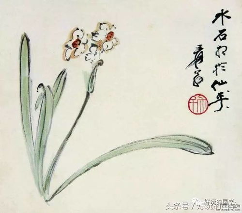 古詩,詩句,梧桐,描寫