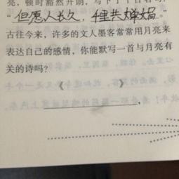 寫一寫自己積累的關(guān)于月亮的詩句