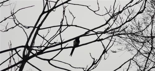 不放棄希望的古詩(shī)句