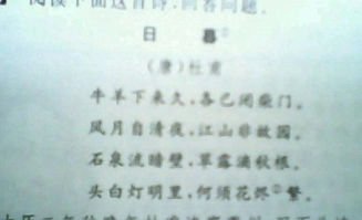 關(guān)于杜甫體現(xiàn)思想情感的詩句