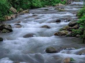 關(guān)于春天小溪旁邊的詩句