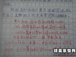 評(píng)語,詩句,小學(xué)生,引用